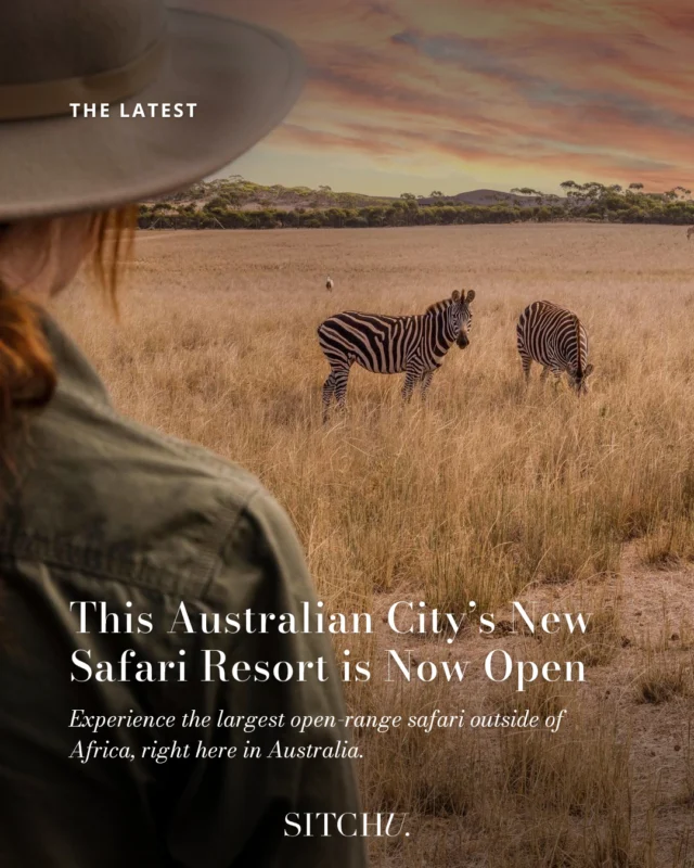 Australia’s newest luxury safari accommodation is officially open and welcoming guests. Experience the largest safari resort outside of Africa, right here in our own backyard! Think breathtaking views, epic wildlife encounters, and the perfect blend of adventure and relaxation 🦒⁠
⁠
Ready to get booking your next adventure? Head to the link in our bio for more!