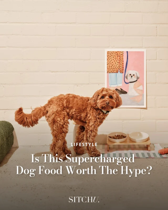 Let’s be honest — Lyka is a splurge, especially with the rising cost of living. But if it lives up to its claims, we're happy to justify the cost. So, we (by we, we mean our beloved office doggo, Dude) put Australia’s most premium dog food to the test to see if it was really worth the hype.⁠
⁠
Tap the link in our bio to read our honest @lykapetfood review.