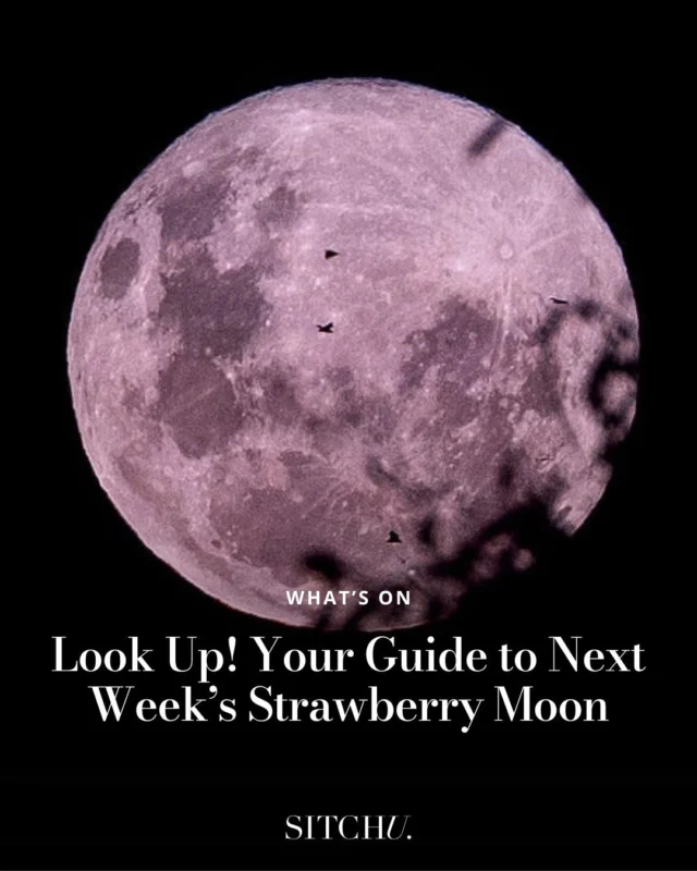 Mark your calendars, this is one celestial event you won't want to miss 🌑🍓⁠
⁠
This Wednesday, a vibrant Strawberry Moon will be visible across Australia, and it's the first of this gravity in almost 19 years!⁠
⁠
Want to catch a glimpse? Tap the link in bio to find the best time to catch it!⁠
⁠
📸 Scott Broadhead
