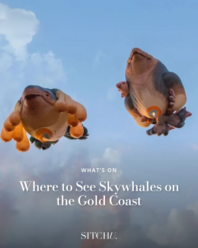Not your average sunrise. Two giant creatures are taking to the skies for one magical morning only... and trust us, you’ll want to be there. Tap the link in bio for the full scoop on these gentle giants. 🐋