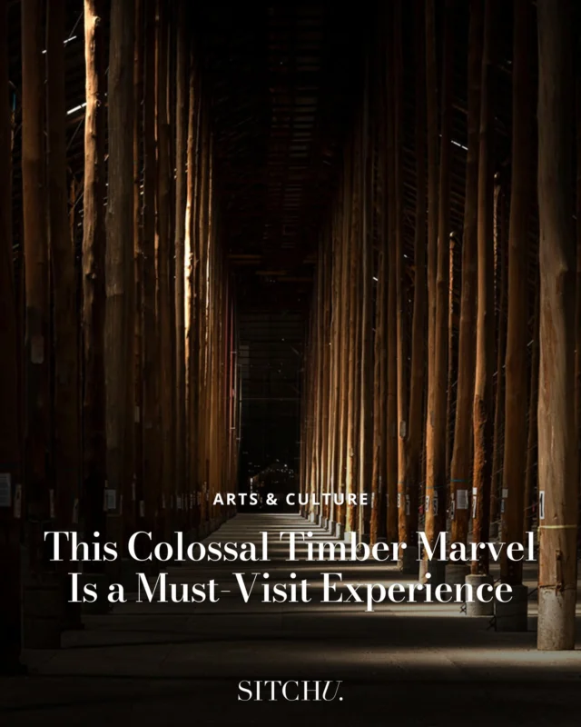 Psst... there's a colossal timber cathedral hiding in regional Vic 👀 ⁠
⁠
It's very grain shed meets art shrine energy. ⁠
⁠
Tap the link in bio to uncover this jaw-dropper — plus 13 more regional galleries worth their weight in cultural gold. 🖼️✨