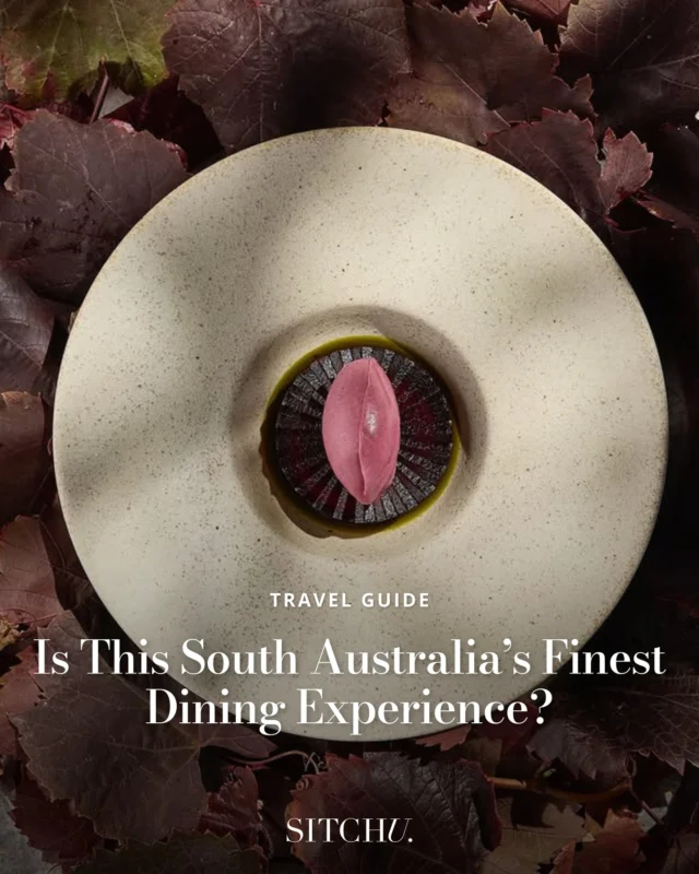 Where rolling vines meet three hats and a chef’s touch. A long lunch here means precision plating, estate-poured drops, and views so divine you’ll swear you’ve stepped into a painting. Regional dining doesn’t get more refined than this. ⁠
⁠
Tap the link in our bio for McLaren Vale’s most exquisite foodie secret. 🍷✨