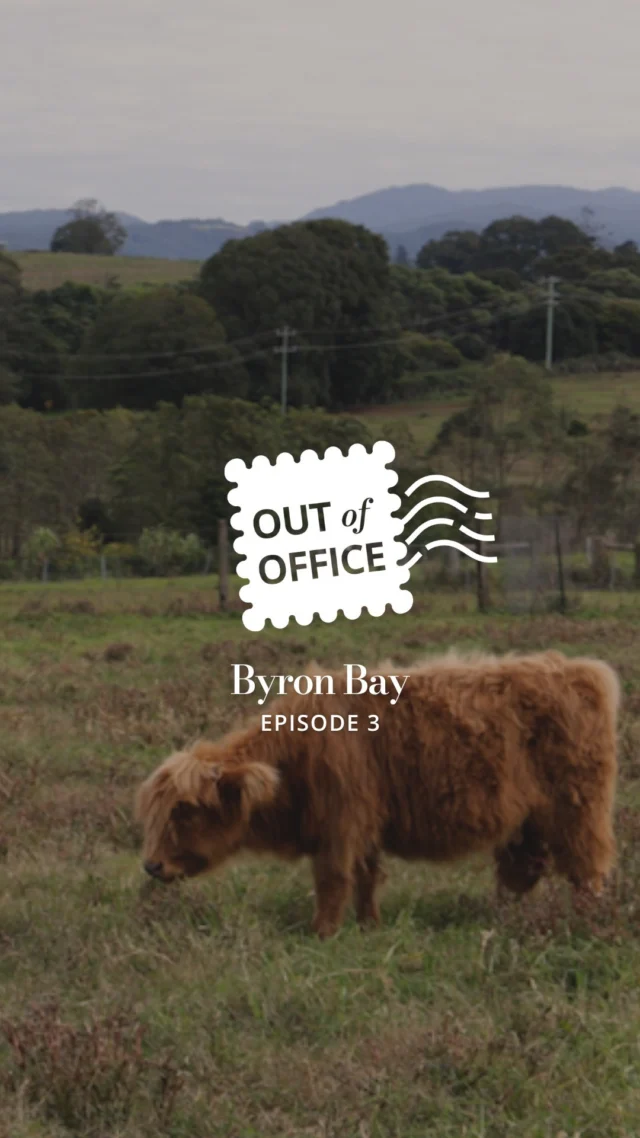Think you know Byron Bay? Think again.⁠
In today's episode, we're giving you the perfect guide to Byron. From must-visit restaurants to hidden gems, fun activities and luxe stays.⁠
⁠
✨ Watch the full guide now on our YouTube channel for the best places to eat, stay & explore in Byron Bay. Link in bio!