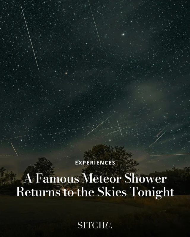 Get ready for the sky’s most epic light show — meteors blazing in every direction, fireballs lighting up the night, and a cosmic dance you won’t forget. ⁠
⁠
Want the full lowdown on when, where, and how to watch? Tap the link in our bio and start planning your stellar night. ✨🌌